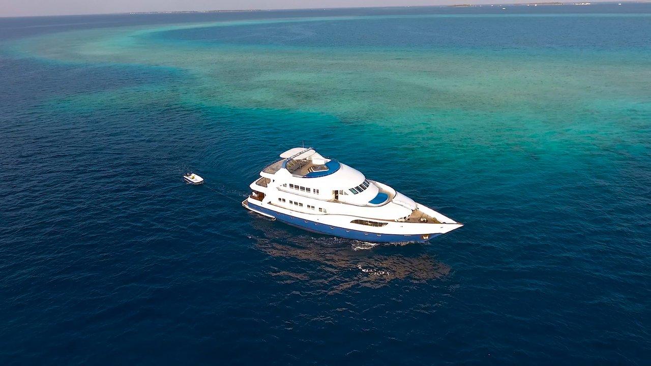 MY Honors Legacy - Honors Legacy, picture 3