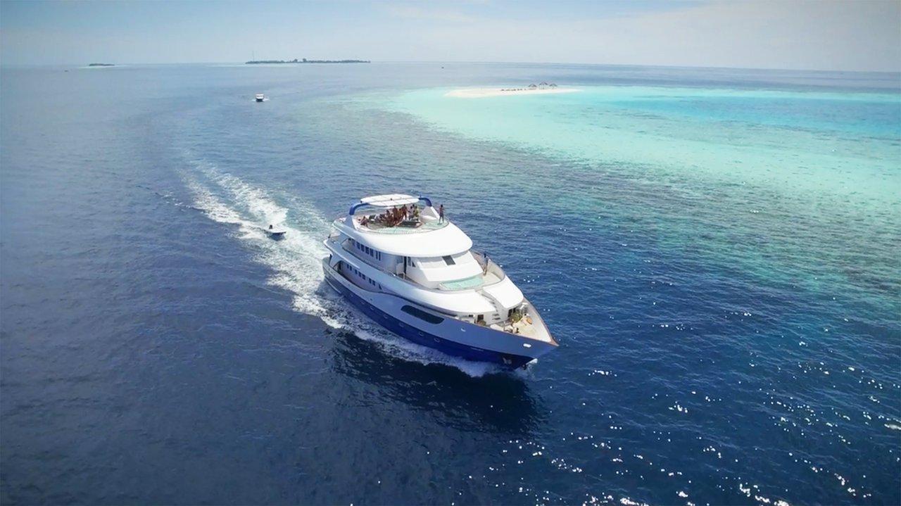 MY Honors Legacy - Honors Legacy, picture 4