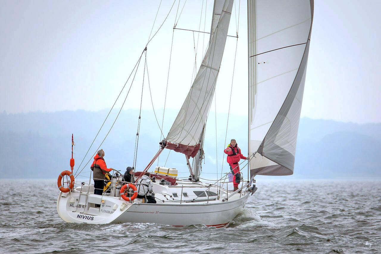 Sun Fast 37 - Nivius, picture 4