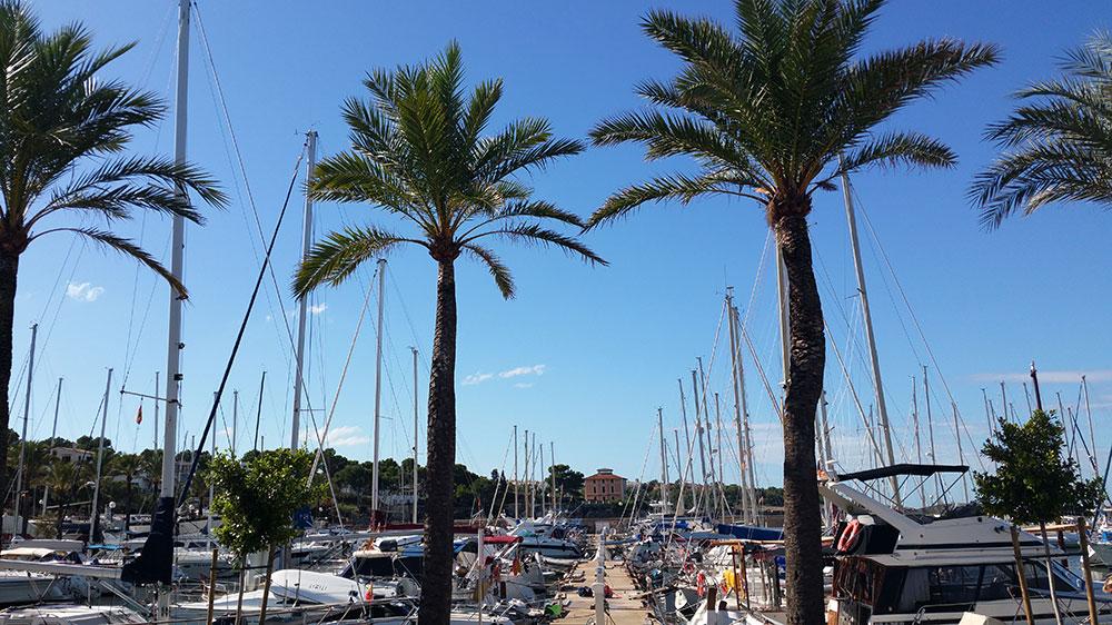 Bavaria Cruiser 50 - Quantum, picture 3